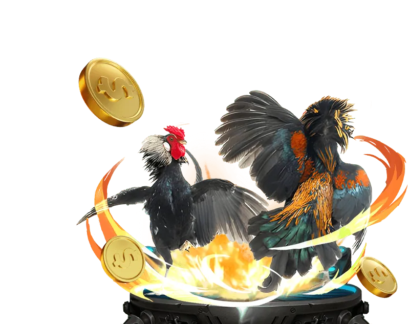 Chương Trình VIP và Phần Thưởng Độc Quyền nuw88